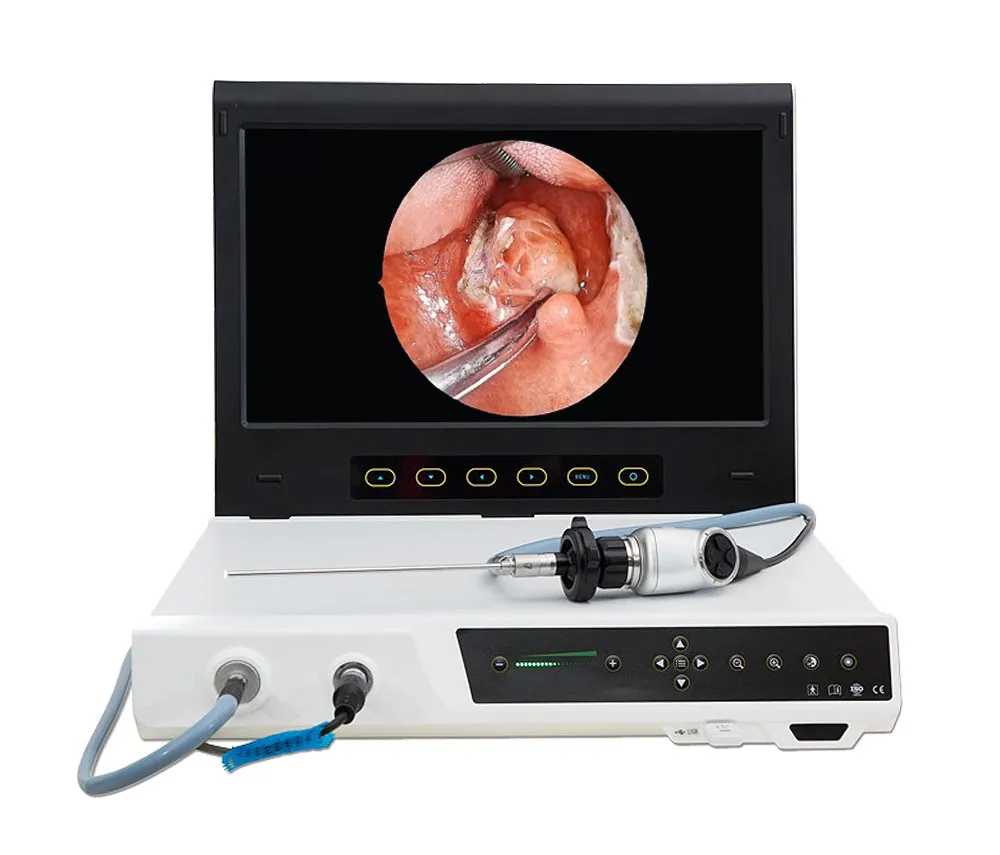 Sistema de endoscopia