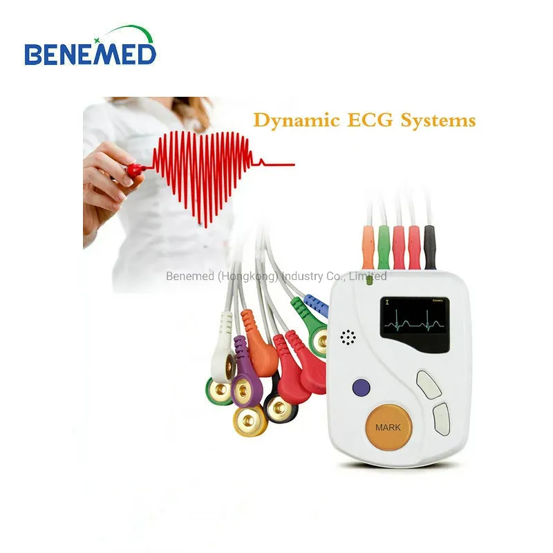 ECG Holter 1