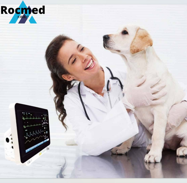 Monitor Portátil de Paciente Animal Humano de Cama Signos Vitales Cardíacos UCI ECG SpO2 NIBP 8 Equipo Médico Veterinario Precio Clínica Veterinaria Hospital