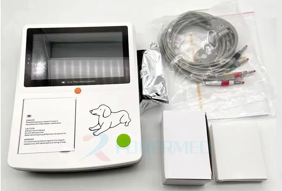 Detalle ECG 2