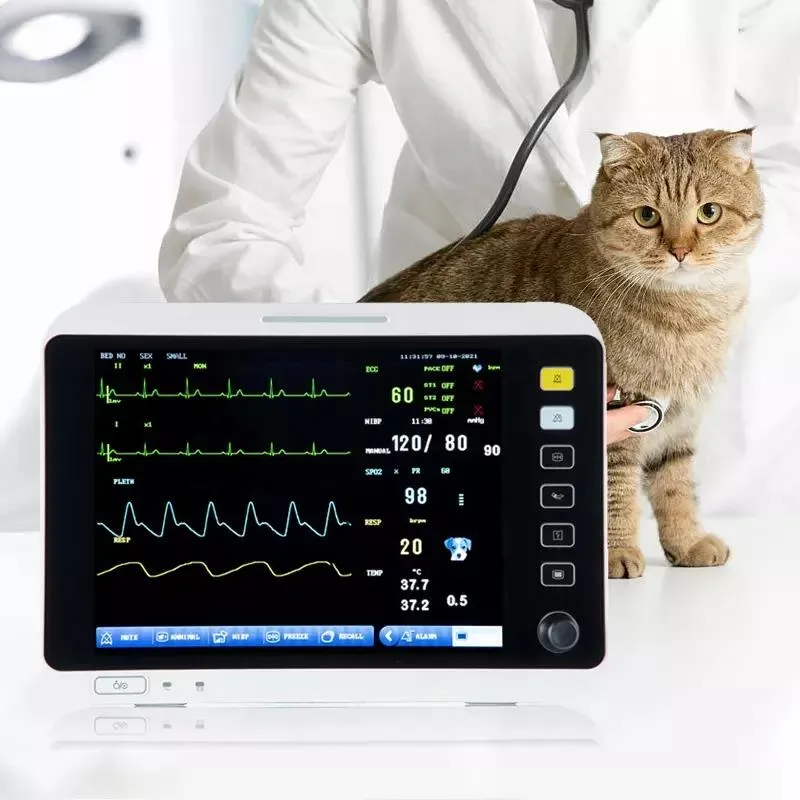 Monitor Portátil para Pacientes de Mascotas Veterinario 12 Pulgadas Monitor Veterinario para Clínica Veterinaria ECG SpO2 NIBP Resp Temp Hr Pr Etco2 IBP