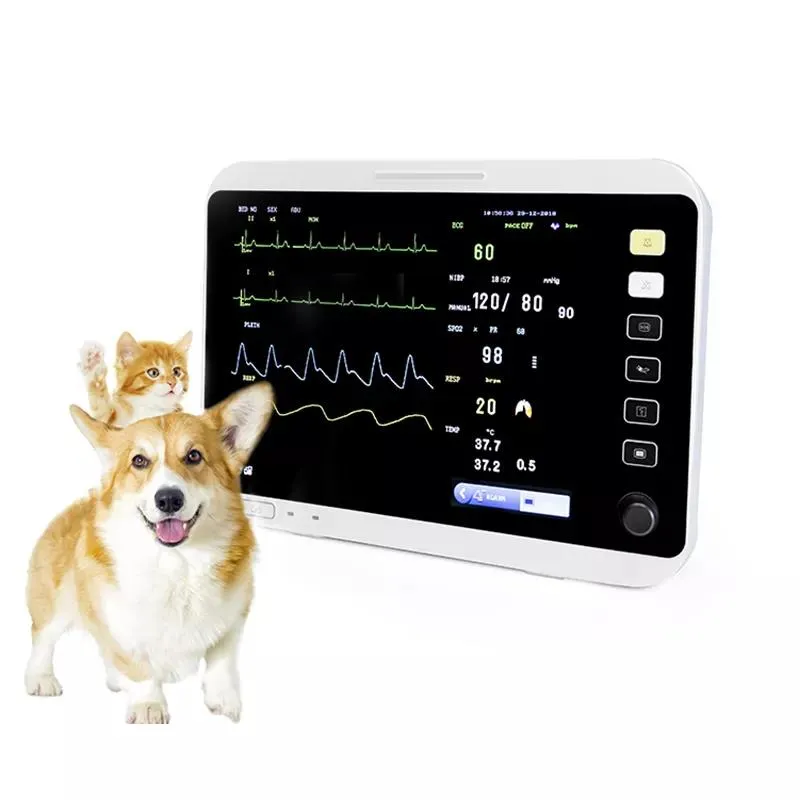 Monitor Portátil para Pacientes de Mascotas Veterinario 12 Pulgadas Monitor Veterinario para Clínica Veterinaria ECG SpO2 NIBP Resp Temp Hr Pr Etco2 IBP