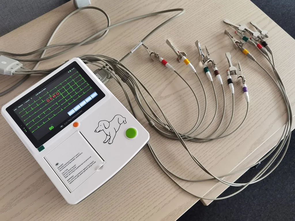 Detalle ECG 6