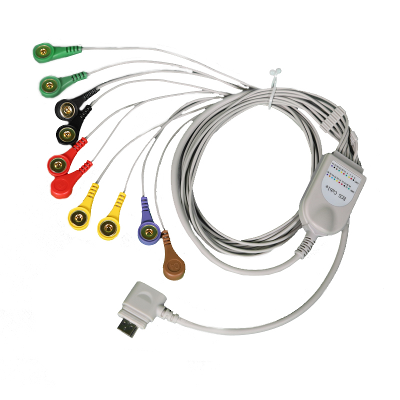 Suministro Médico 12 Monitor Holter ECG 12 Canal 24 Horas Monitor ECG Holter