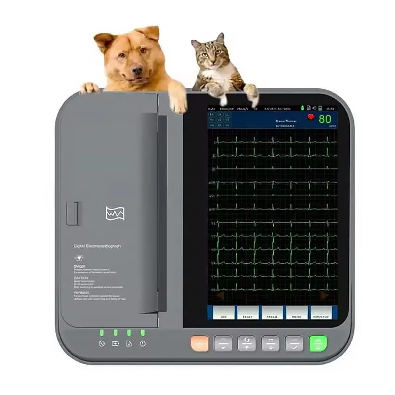 ECG veterinario 1
