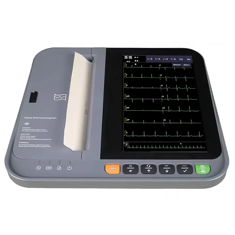 ECG veterinario 3