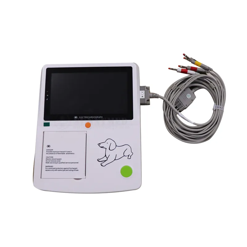 Detalle 1 ECG