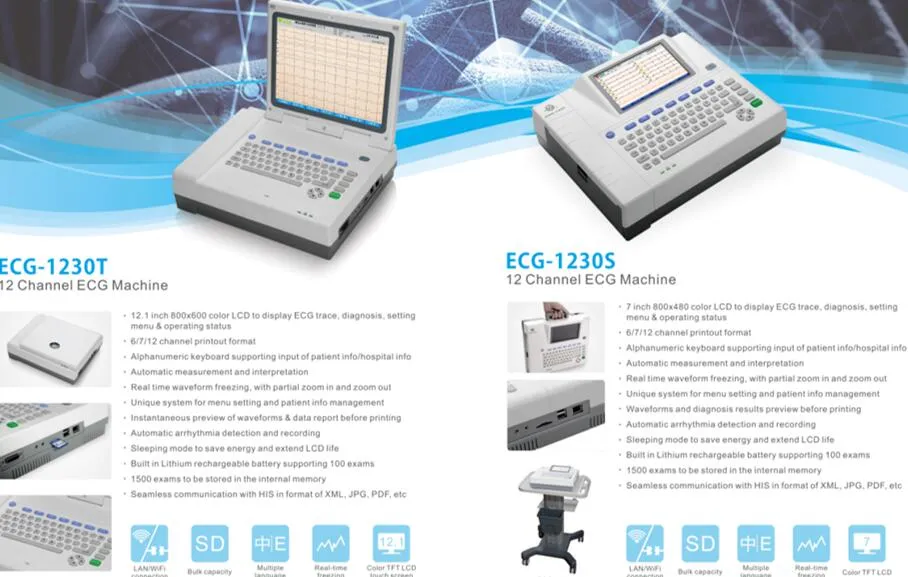 Modelo ECG B