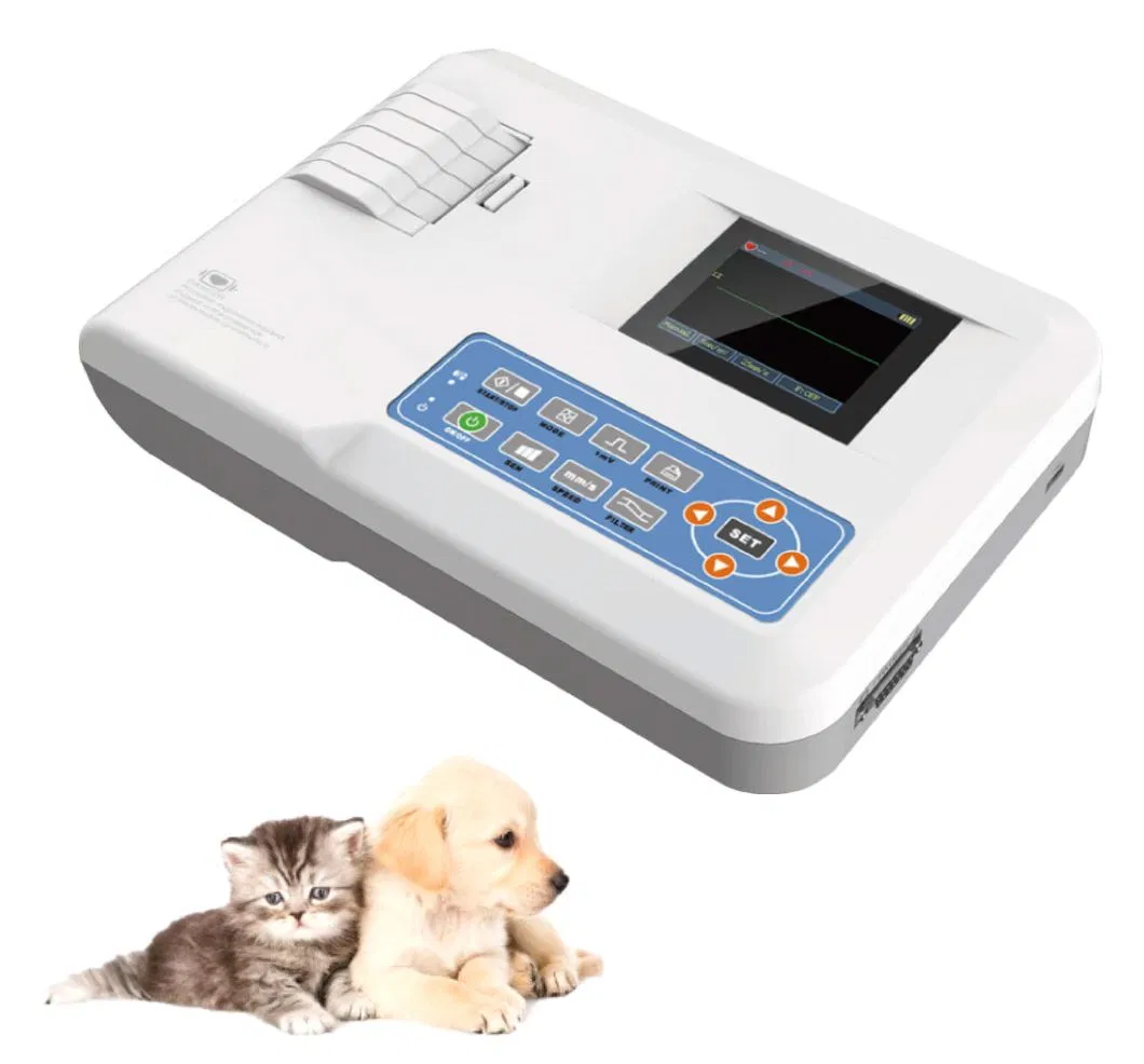 WT-100G ECG Veterinario