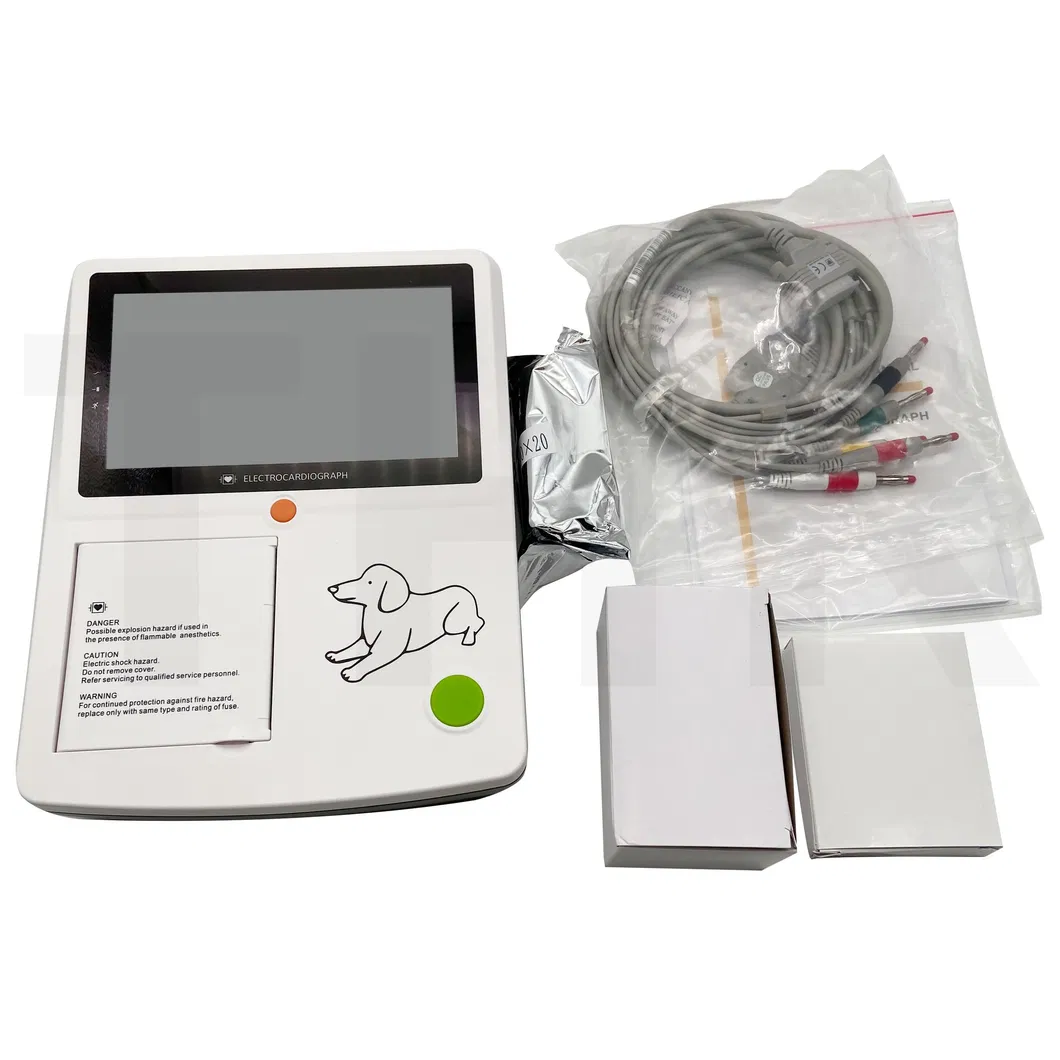 Detalle ECG 1