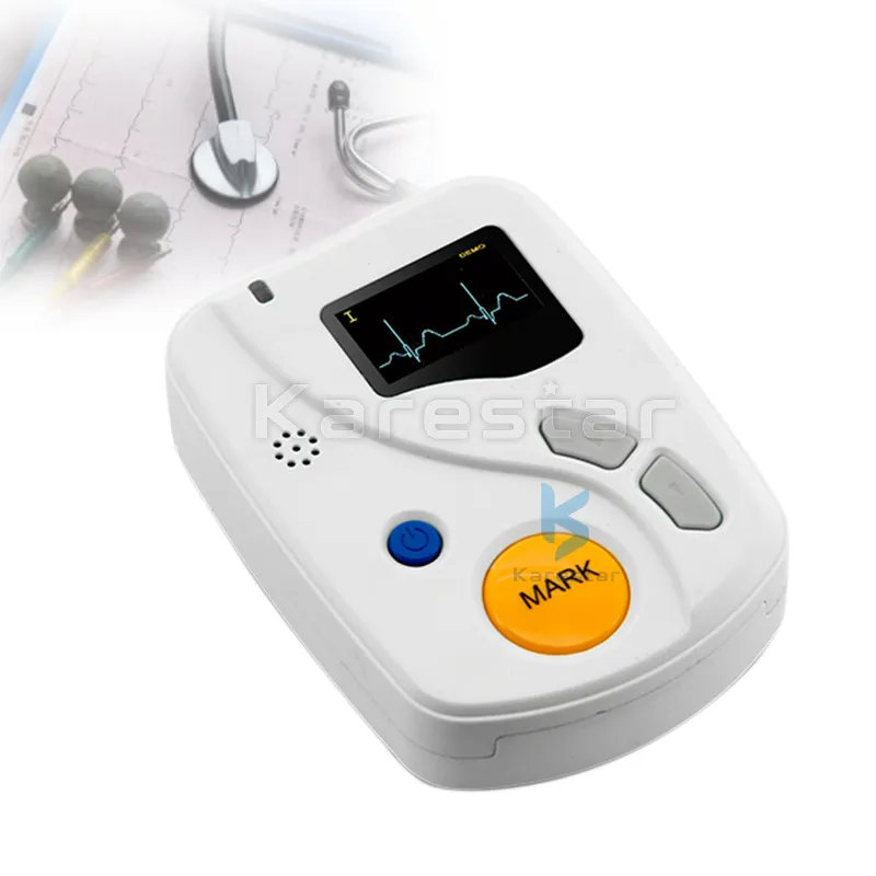 Holter ECG display