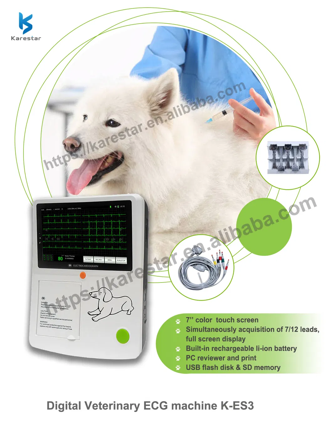 Detalle ECG Veterinario