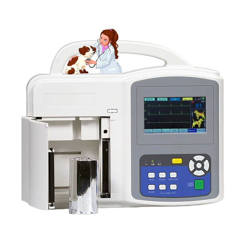 Instrumento Veterinario Mt 3 Canal 12 Electrocardiograma Animal Precio Máquina ECG Veterinaria