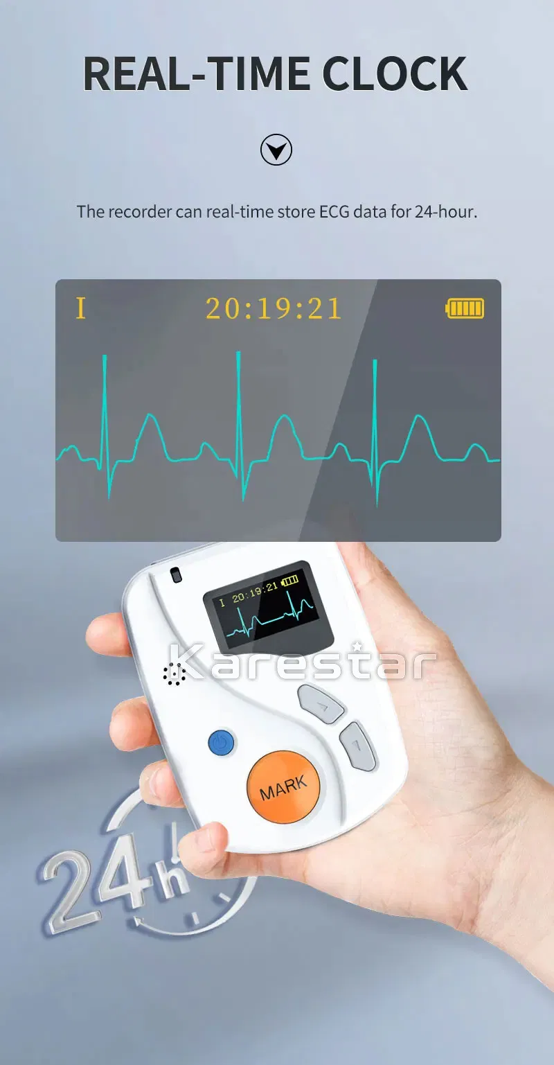 Holter ECG monitor
