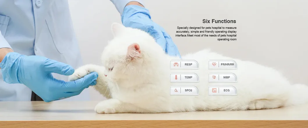 Monitor Veterinario 4