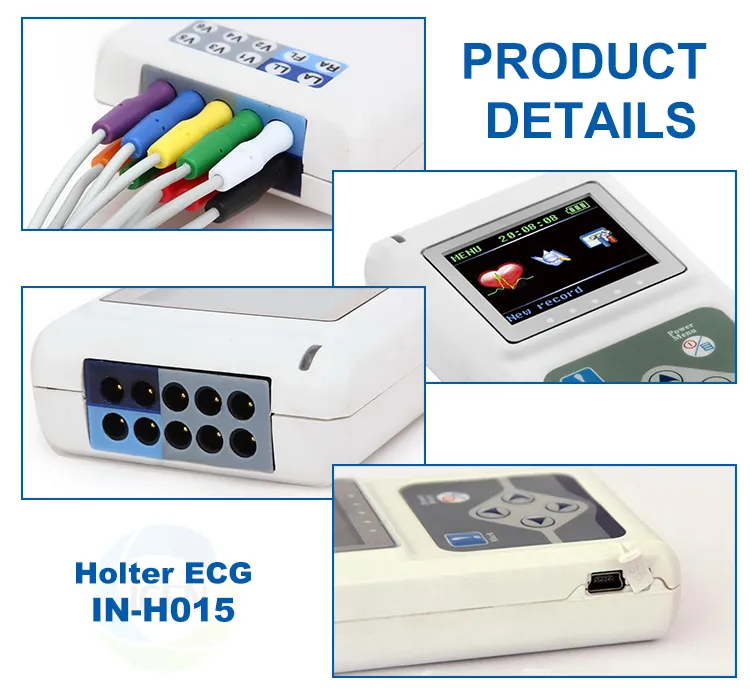 Detalle ECG Holter