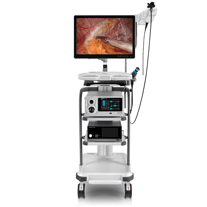 Sistema de Endoscopia Médica SonoScape X-2600 con Estación de Trabajo Compacta