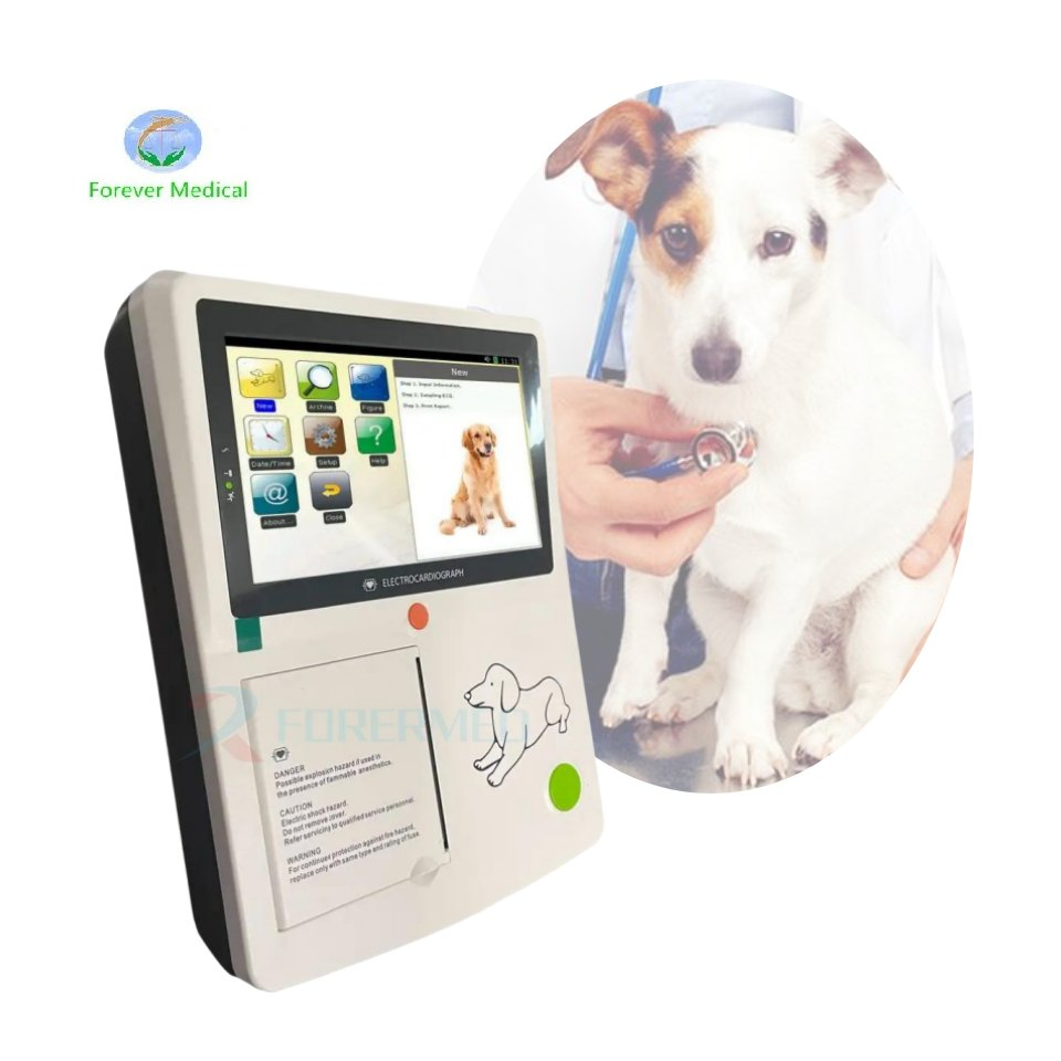 Holter ECG 12 Canal ECG Rollo de Papel Veterinario 3 Canal EKG Máquina Monitor ECG