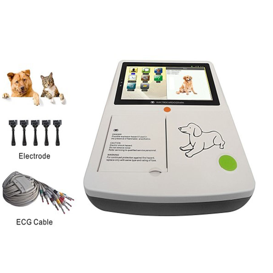 Dispositivo de corazón veterinario para animales mascotas ECG máquina portátil de ECG con pantalla táctil 3
