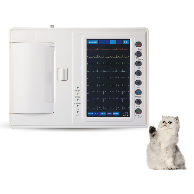 6 Herramienta portátil de ECG y ecocardiografía para diagnósticos en clínicas veterinarias