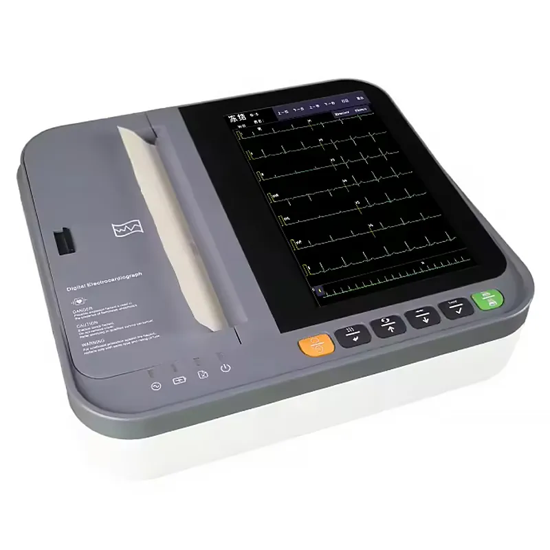 ECG veterinario 4
