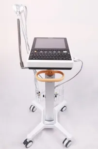 Detalle ECG