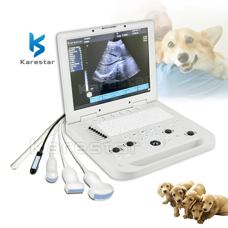 K-H301 Dispositivo de ultrasonido veterinario portátil de buena resolución digital para laptop