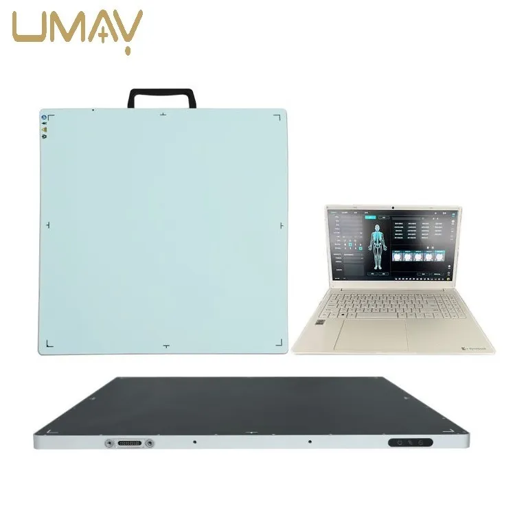 Flat Panel Detector View 1