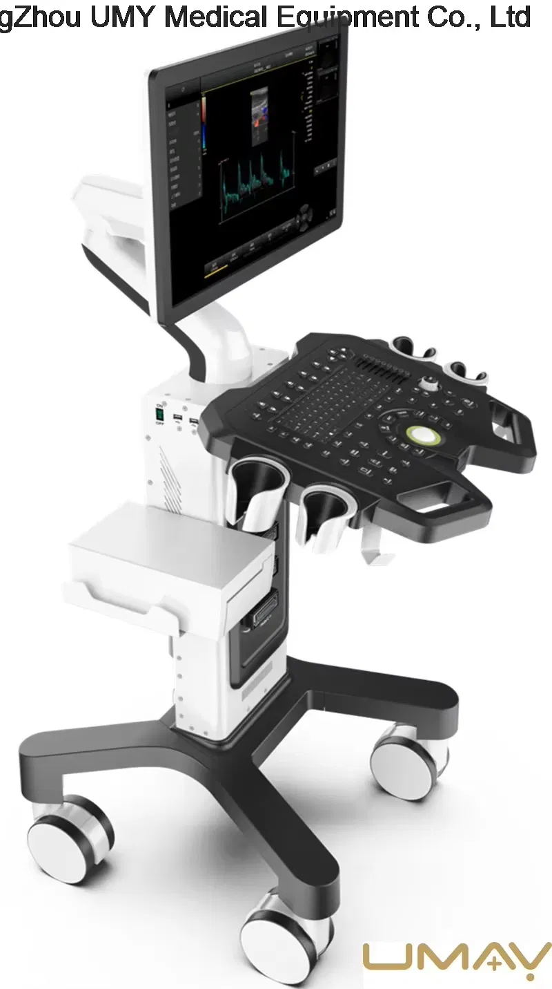 Color Ultrasound Device for Diagnostic Imaging in Obstetric Medical Centers