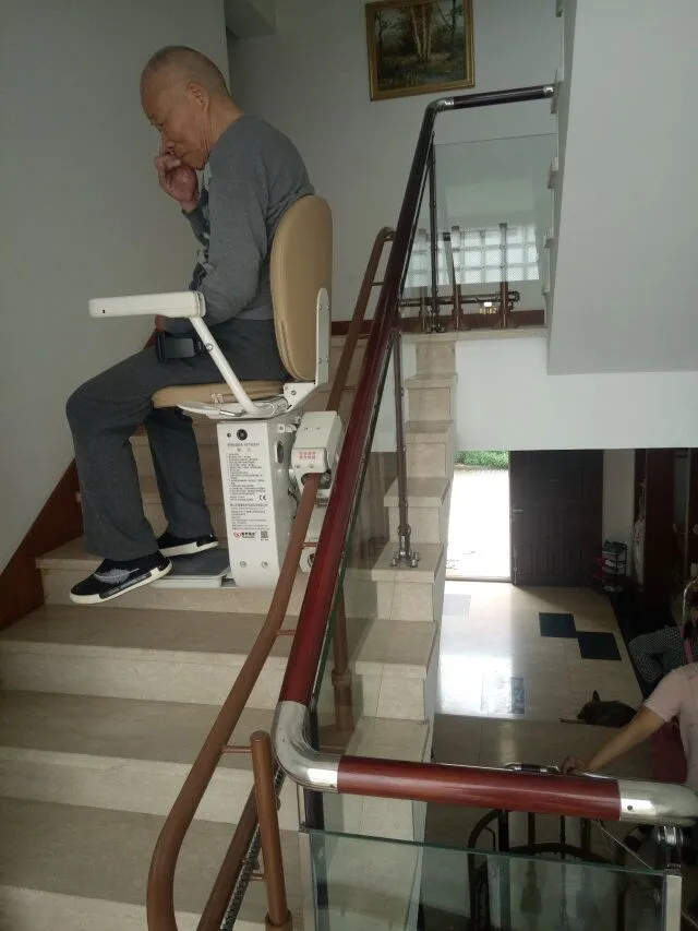 Wheelchair Platform Lift