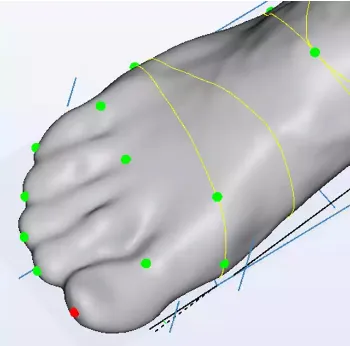 Foot Analysis Output