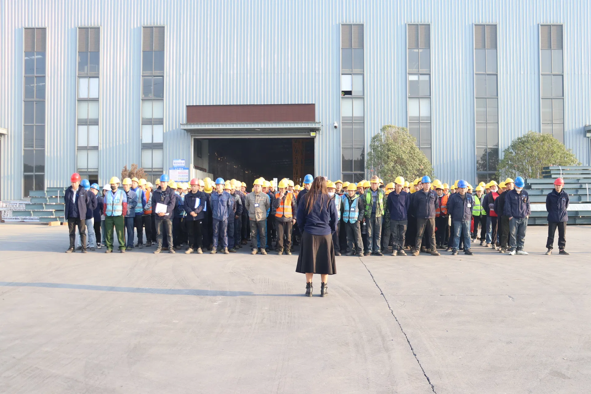 Positive Electrode Auxiliary Material Platform