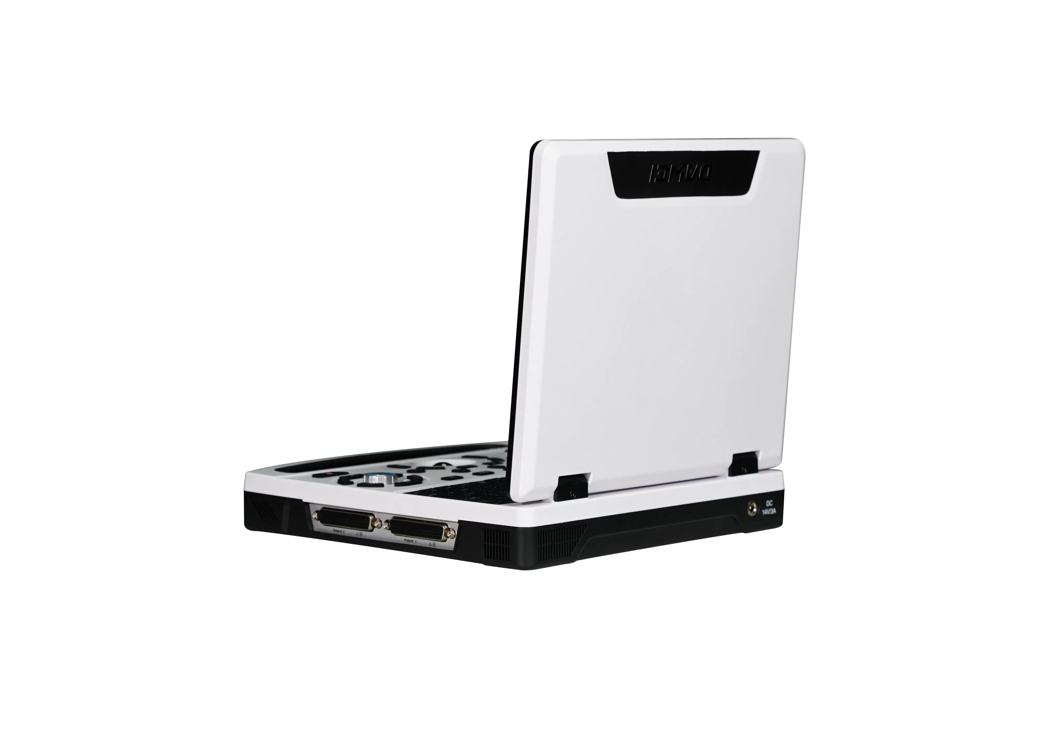 Point of Care Black and White Ultrasound with Battery