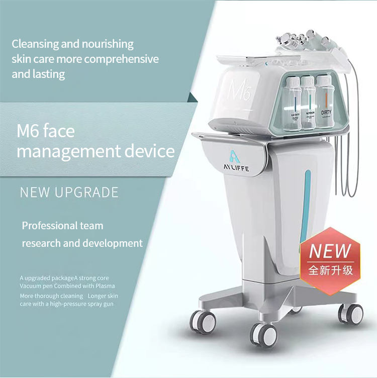 Casmb Face Skin System Hydro Dermabrasion 6 in 1 Facial Machine Oxygene Hydro Facial Machine