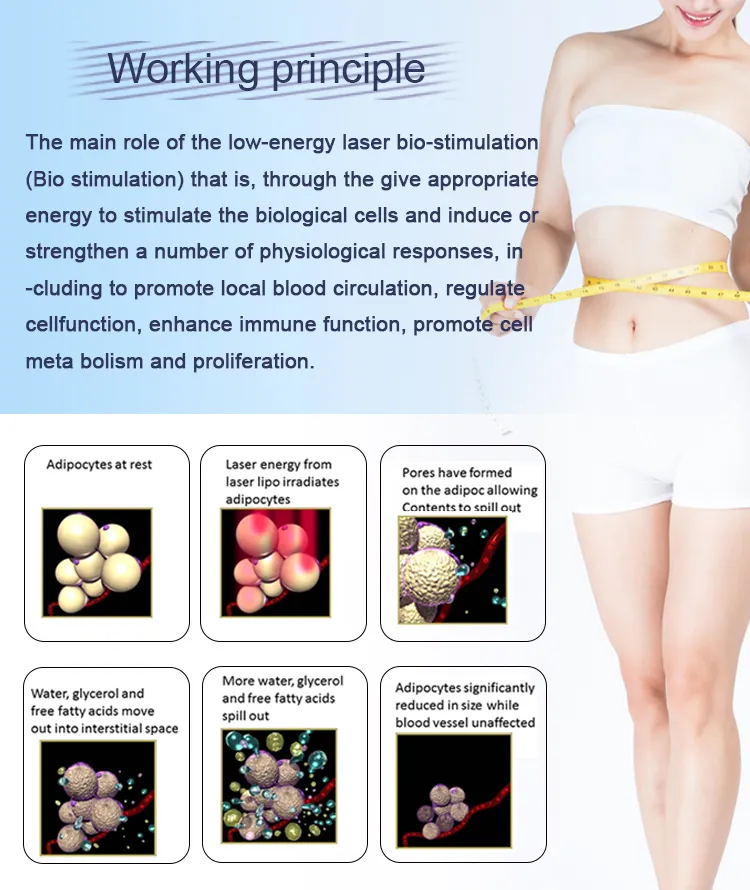 Working Principle Diagram