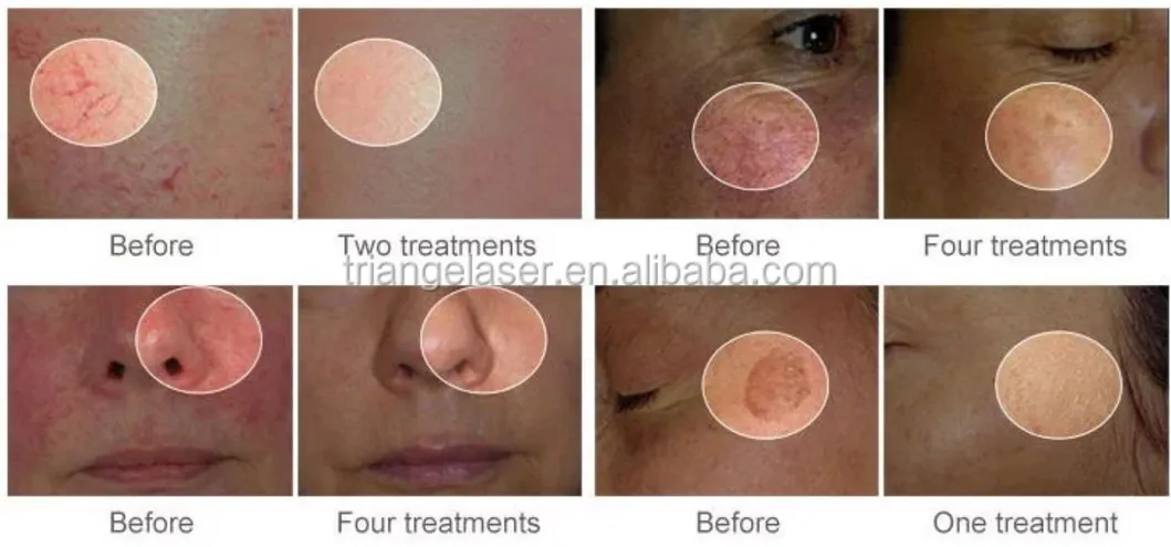 Science Principle Diagram