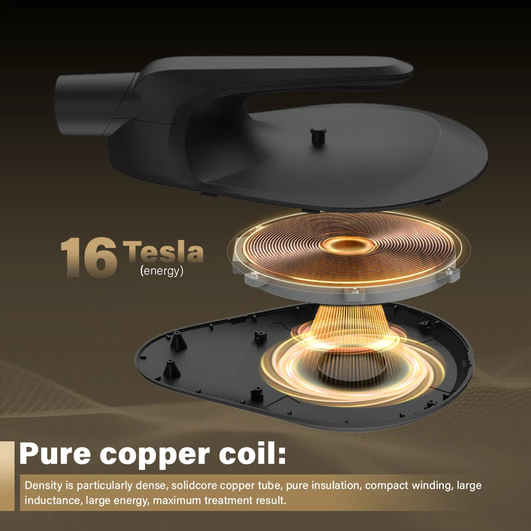 Non Invasive 135Hz EMS Neo Body Contouring Machine 16 Tesla 5-Speed EMT EMS Dual Cooling Machine Price