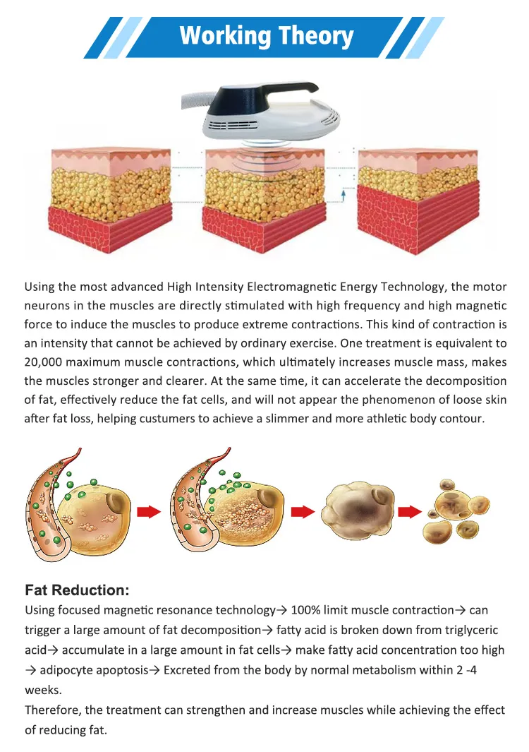 Body Contouring Device