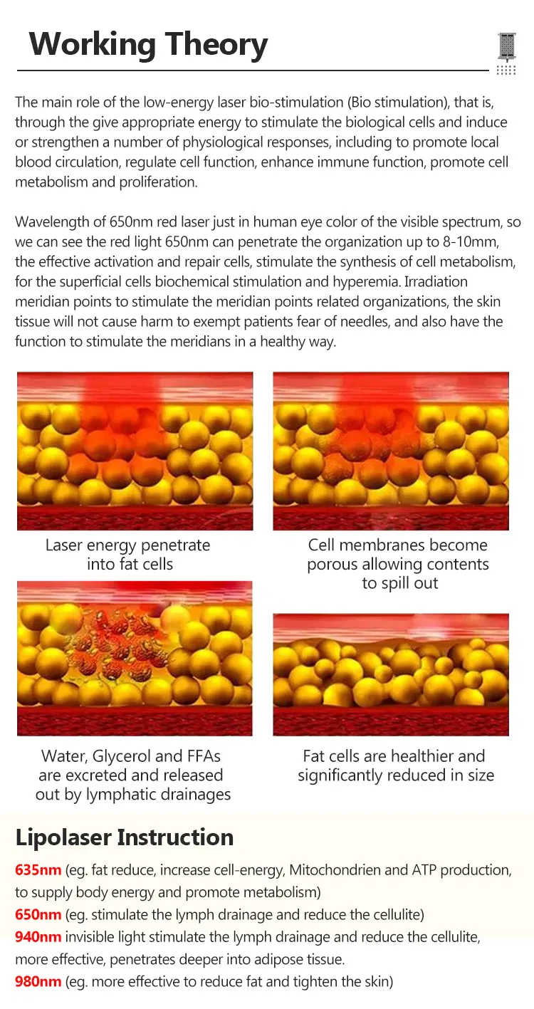 Lipo Laser Treatment