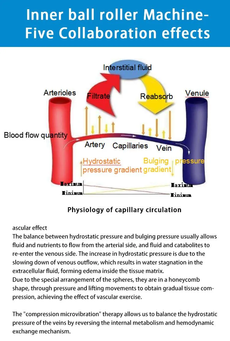 Inner Ball Roller Mechanism