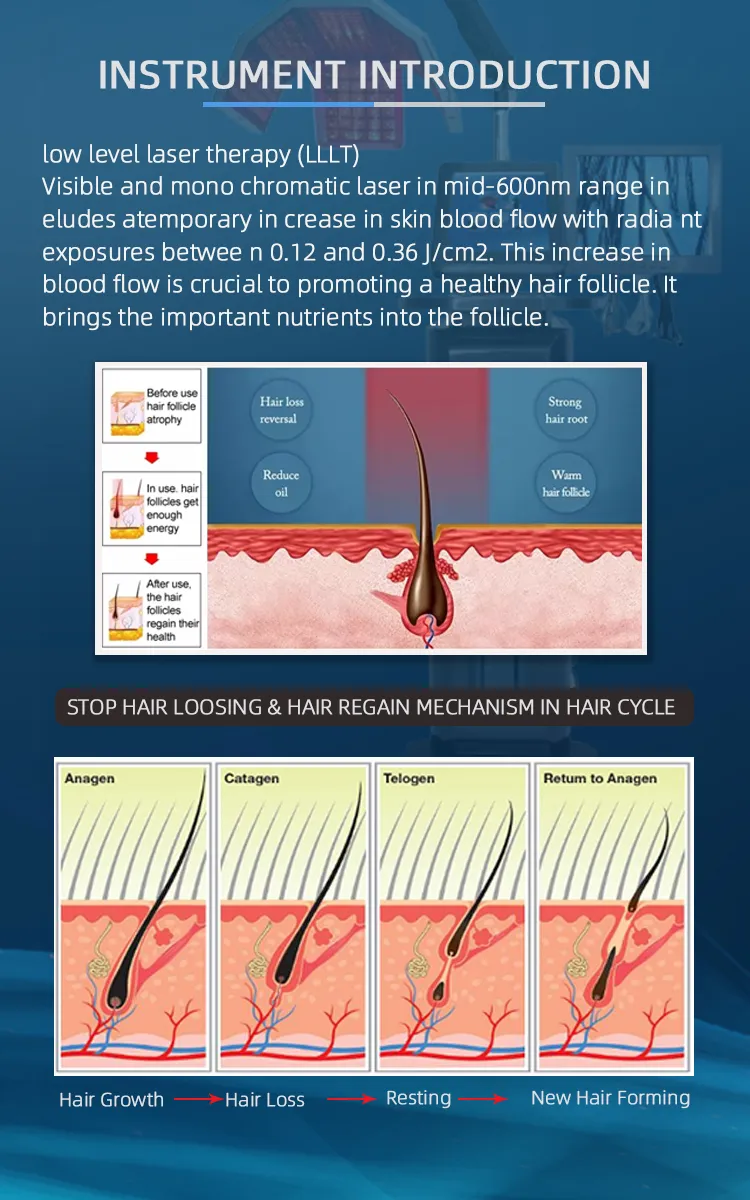 Regeneration Principle