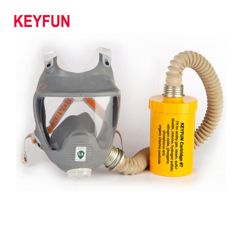 Manufacturer Full Face Gas Mask Protector Respirator Double Filter Gas Mask