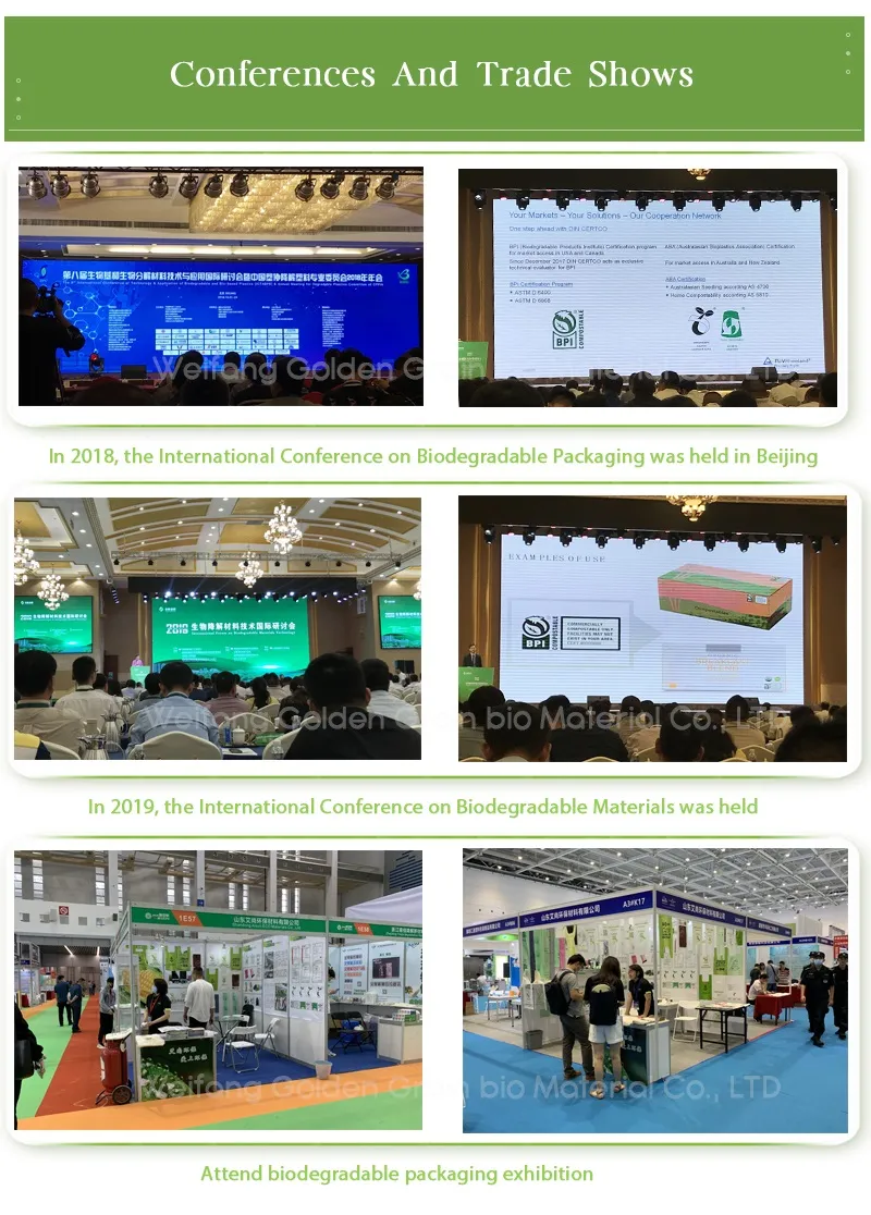 Biodegradable Apron 10