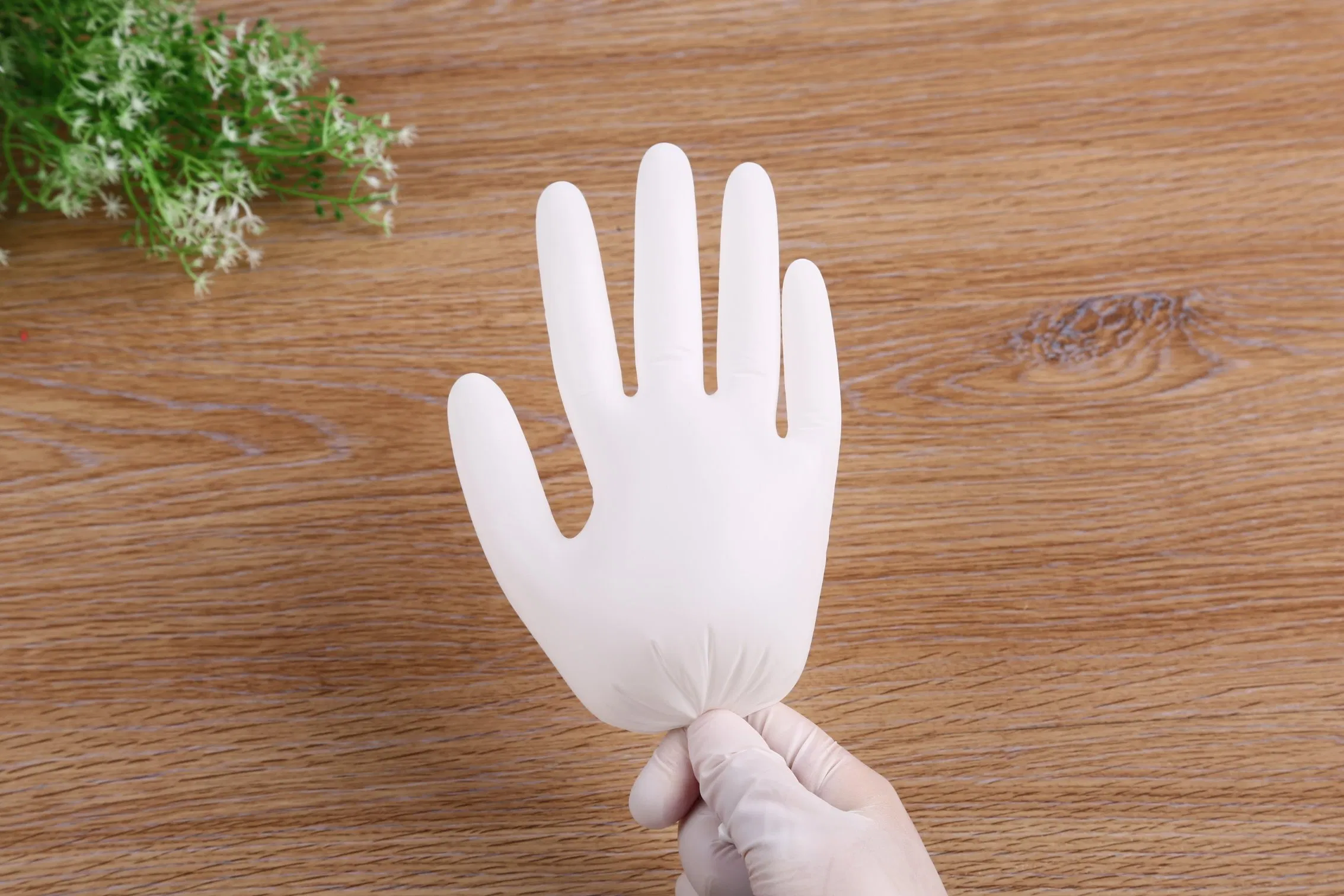 CE Grade Medical Examination Vinyl Glove Powder-Free