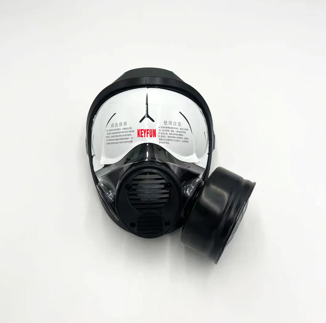 Full Face Respirator View 6