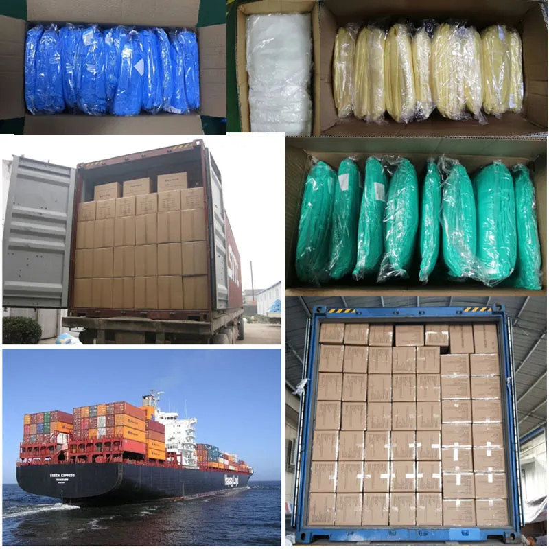 Shipping Carton