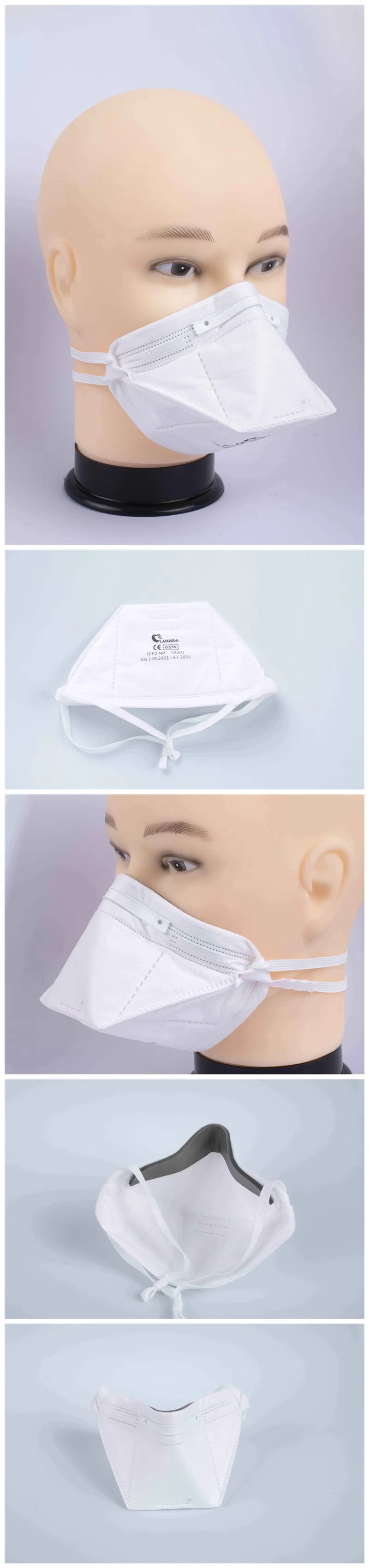 Mask Detailed View 1