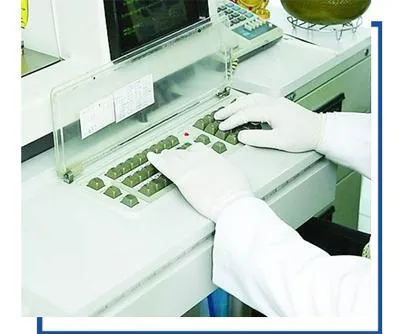 Medical Examination Vinyl Glove