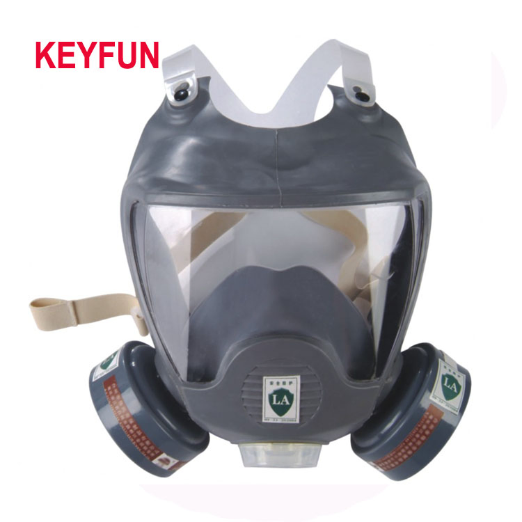 Manufacturer Full Face Gas Mask Protector Respirator Double Filter Gas Mask