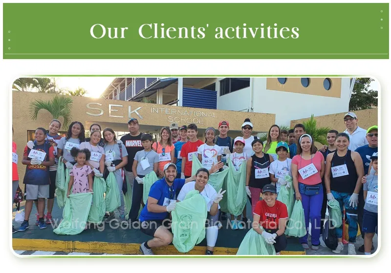 Biodegradable Apron 11